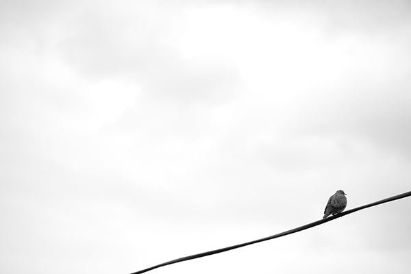 Letras 3D servicios de fotografía